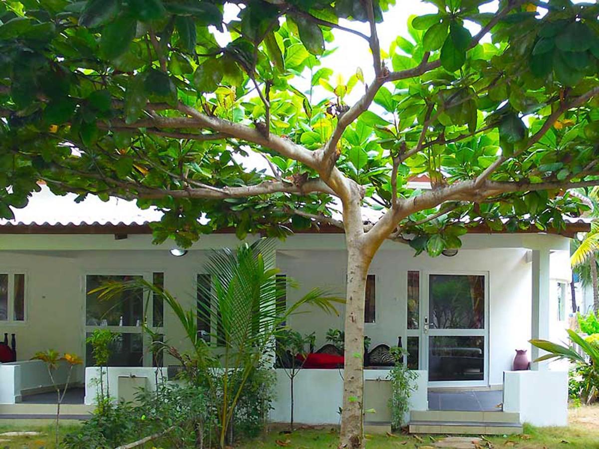 Hotel Village Vacances Awale Plage Grand-Popo Exteriér fotografie